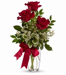 Thoughts of You from Brennan's Florist and Fine Gifts in Jersey City